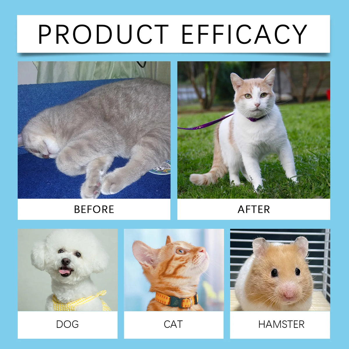 Pet Immunity Boost Care Drops to Relieve Stress and Pain, Enhance Pets' Immunity, Care Supplement for Dogs and Cats
