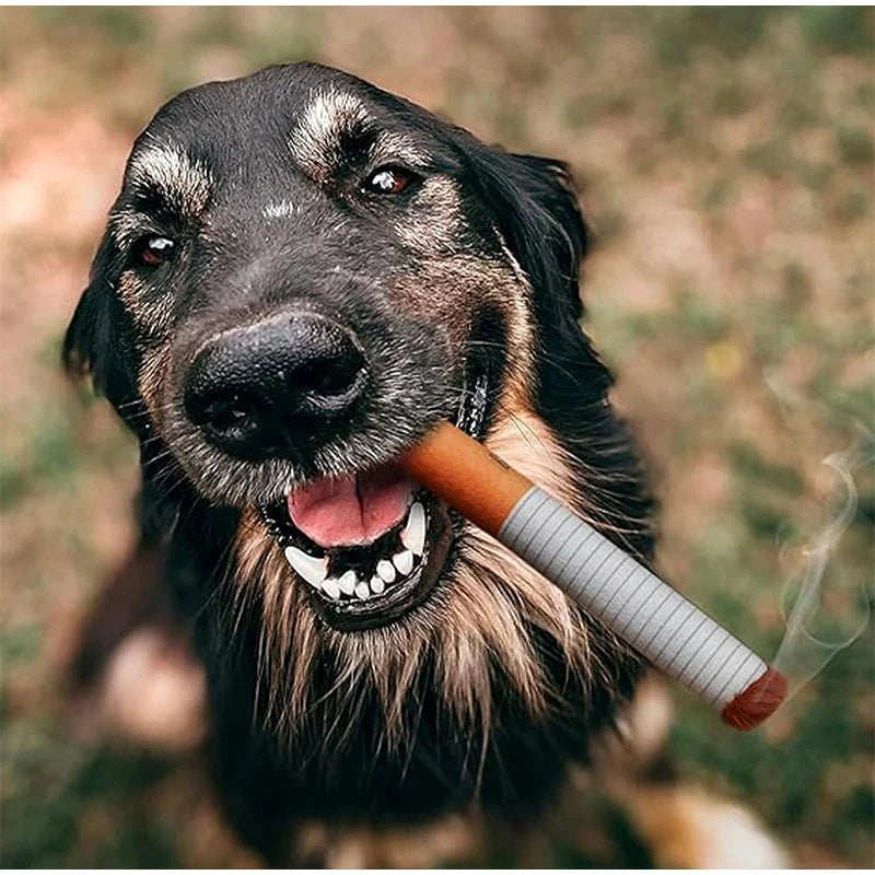 Dog Toy Funny Interactive Plush Dog Toys Creatives Cigarette Design Giggling Chewing Toys For Dog The Perfect Pet Gift