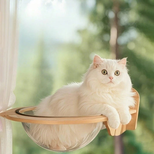 Wall-mounted Cat Climbing Frame Beds Suction Cup Ladder Hammock Pet Nest Window Wall Cat Jumping Platform Wooden Pet Supplies