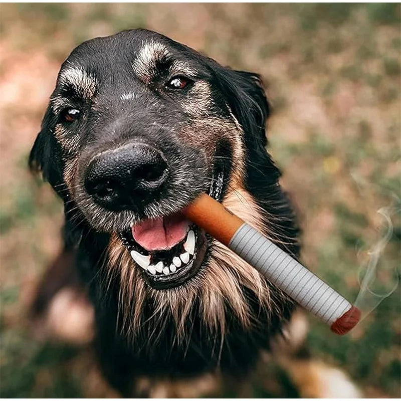 Dog Toy Funny Interactive Plush Dog Toys Creatives Cigarette Design Giggling Chewing Toys For Dog The Perfect Pet Gift