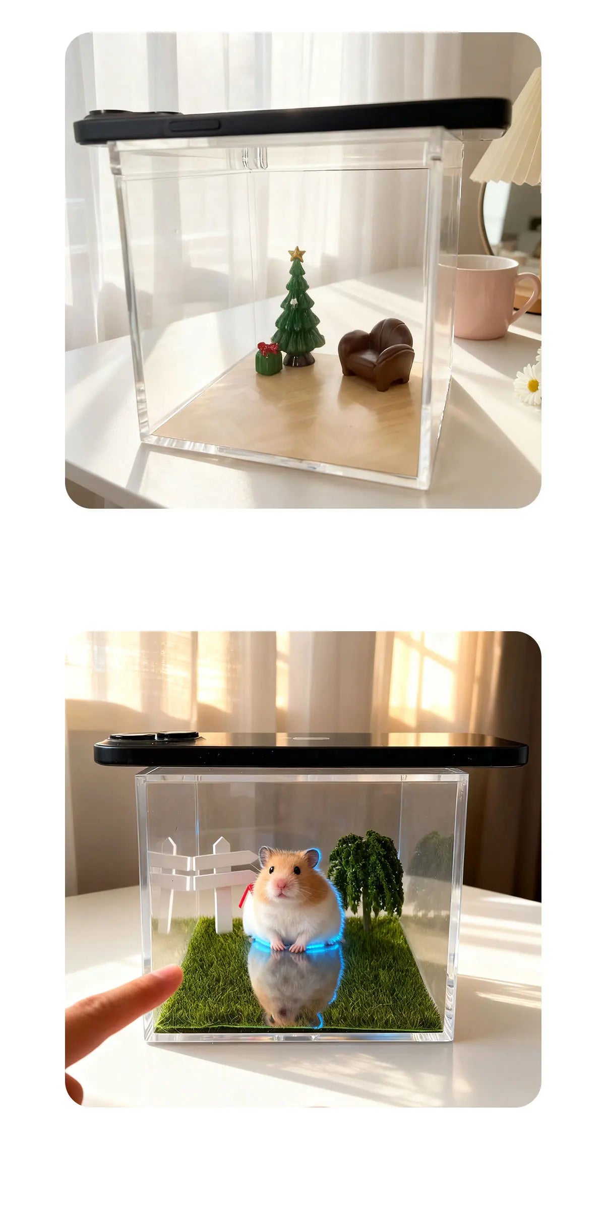 Pet Memorial Holographic Ornament, DIY Hologram Digital Photo House Decor, High Light‑Transmission Commemorative Pet Keepsake