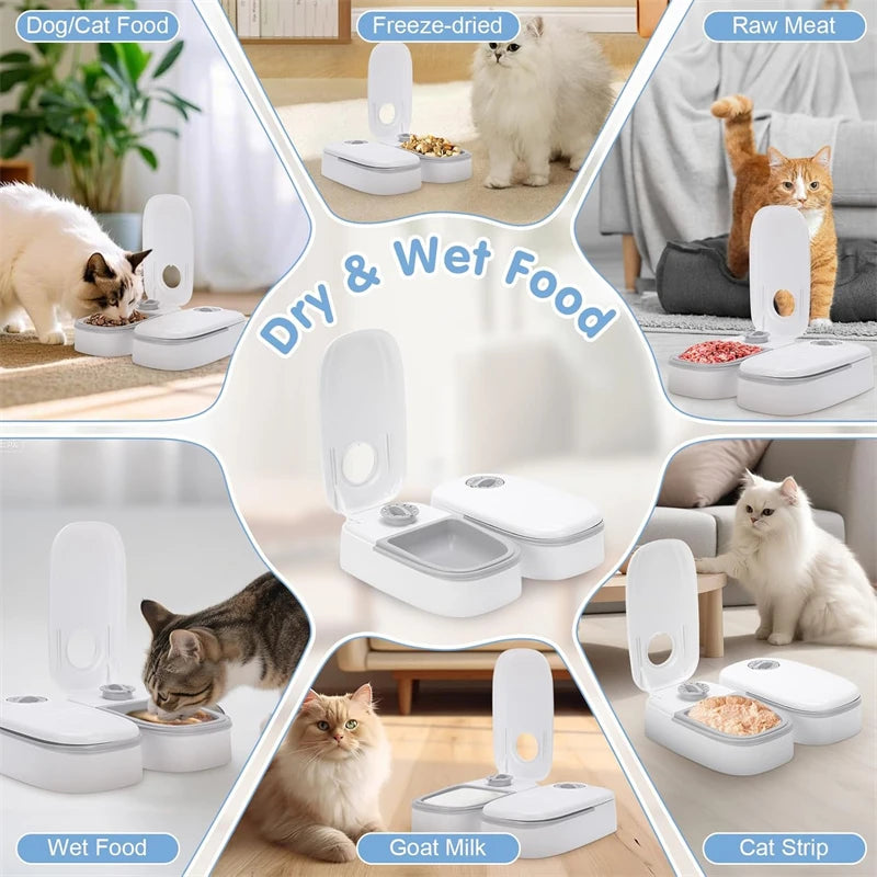Automatic Cat Feeder, 48-Hour Timed Cat Food Dispenser, Pet Feeder, Automatic Feeder Suitable for All Household Pets