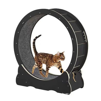 Wooden Cat Treadmill Home Sports Running Wheel Fitness Supplies Pet Toy Furniture Products Silent Roller Cat Climbing Frame