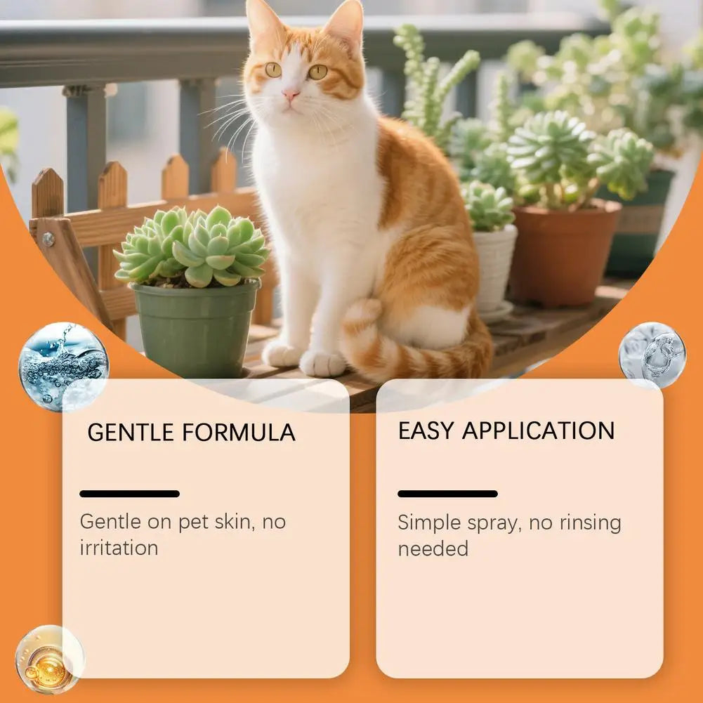 100ml Pet Skin Care Spray Promotes Skin Repair Soothes Irritation Maintains Healthy Skin Portable Pet Cleansing Spray