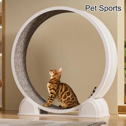 MultiFunctional Cats Exercise Wheel Scratching Board Comfort Bed for Big Cats Quiet Treadmill for Indoor Boredom Cats 87HA