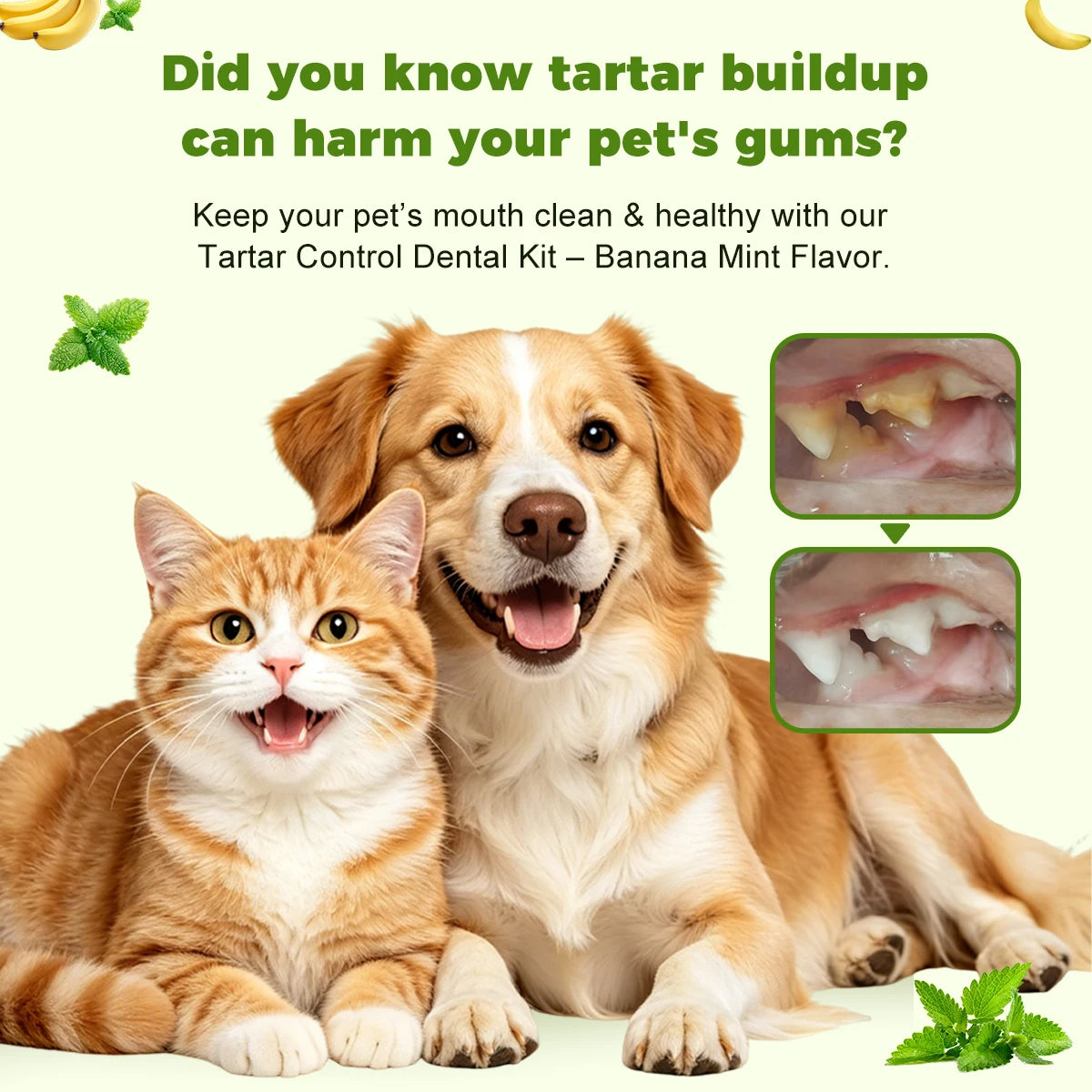 3 Piece Pet Dental Care Kit Banana Mint Tartar Control Plaque Remover Toothpaste Gel for Dogs Cats Fresh Breath Gentle Oral Care