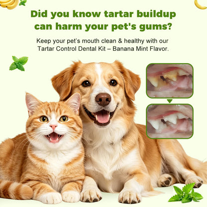 3 Piece Pet Dental Care Kit Banana Mint Tartar Control Plaque Remover Toothpaste Gel for Dogs Cats Fresh Breath Gentle Oral Care